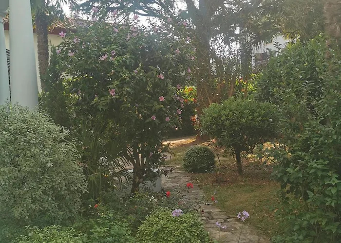 Eche-pherdea Saint-Jean-de-Luz